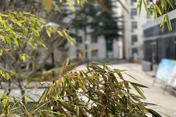 西安旅游职业中等专业学校校园