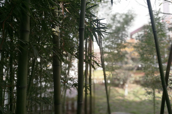 西安旅游职业中等专业学校校园