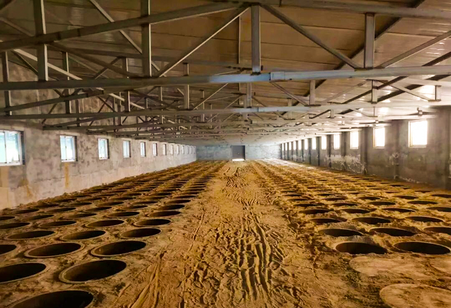 陕西枫林酒业,枫林老酒